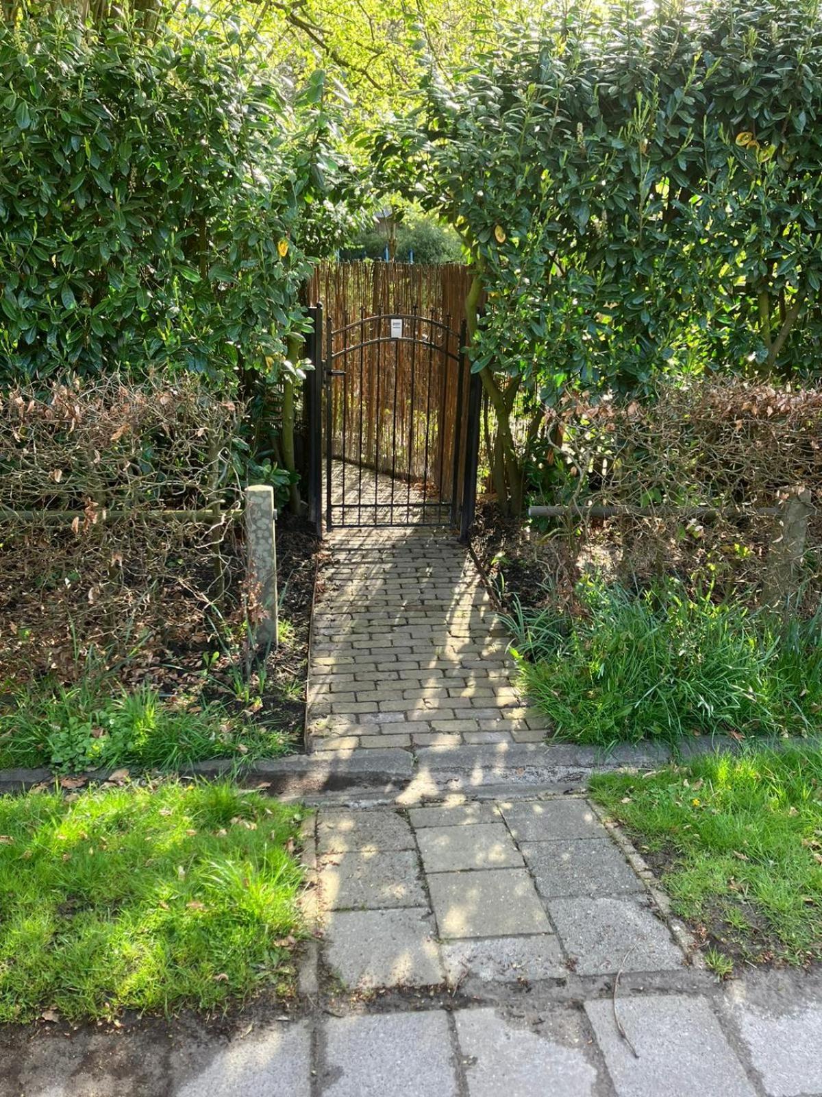 B En B Op Steendam, Tuinkamer Onder De Appelboom Bed & Breakfast Dış mekan fotoğraf